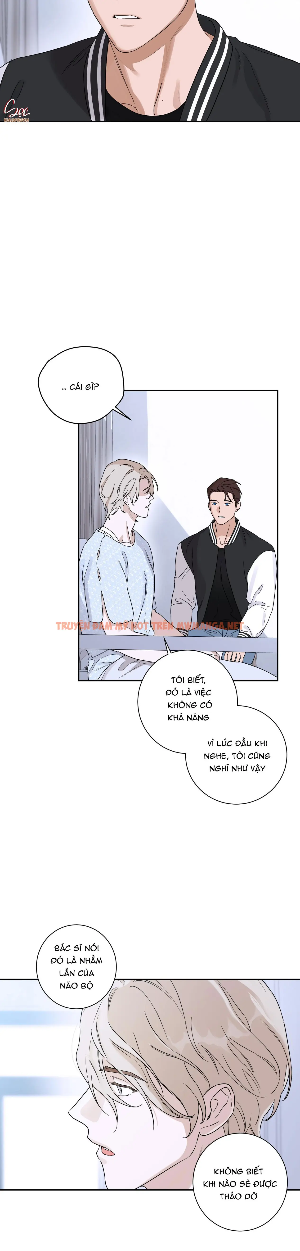 Trang 19