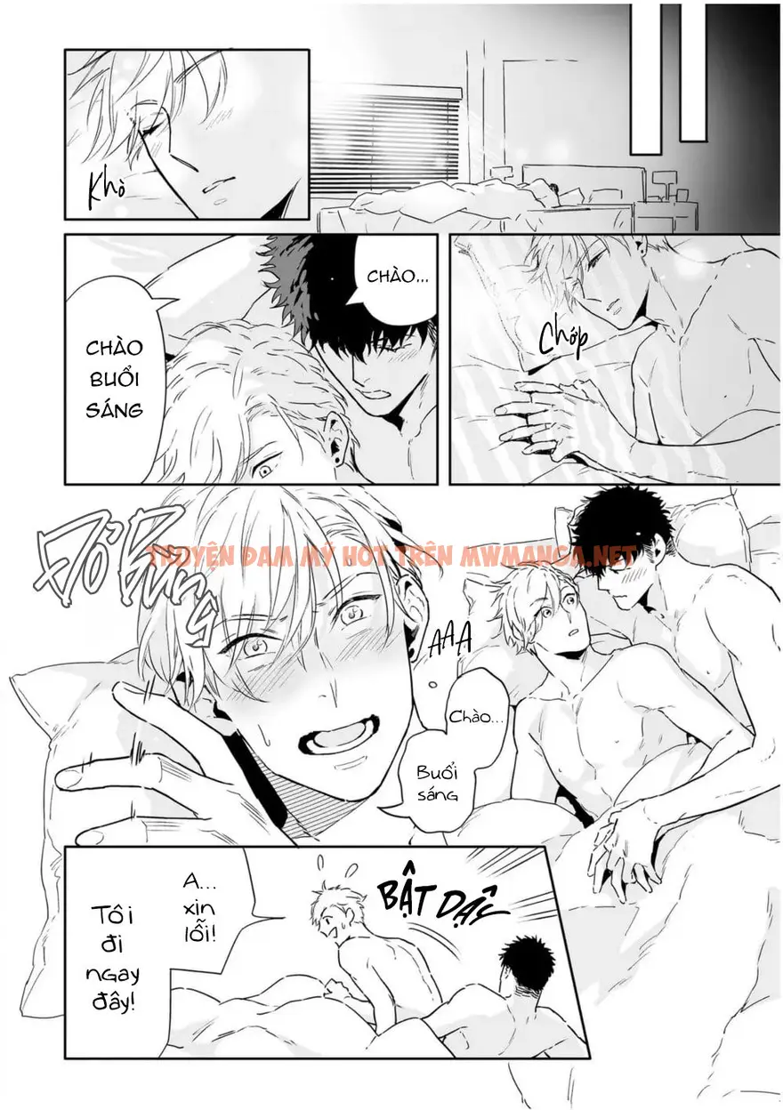 Trang 29