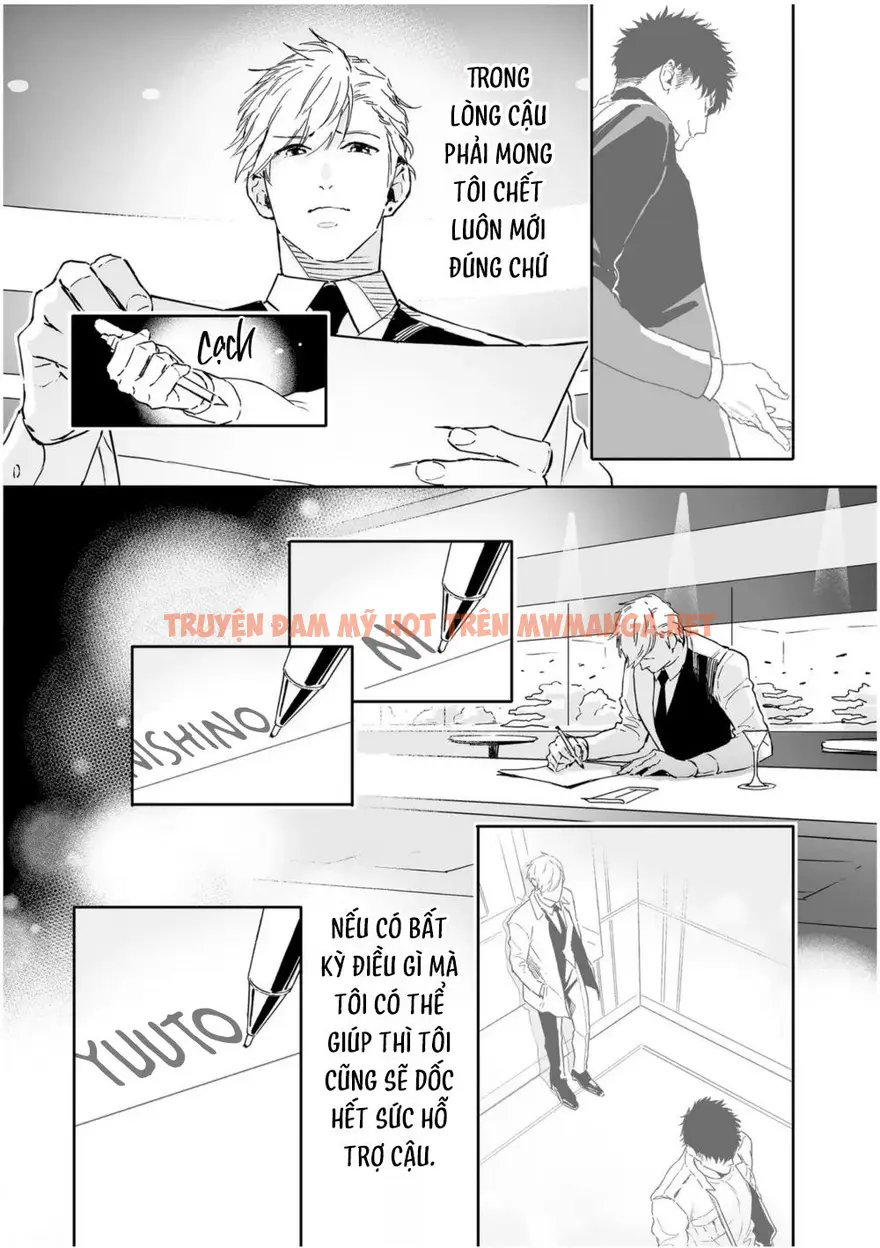 Trang 19