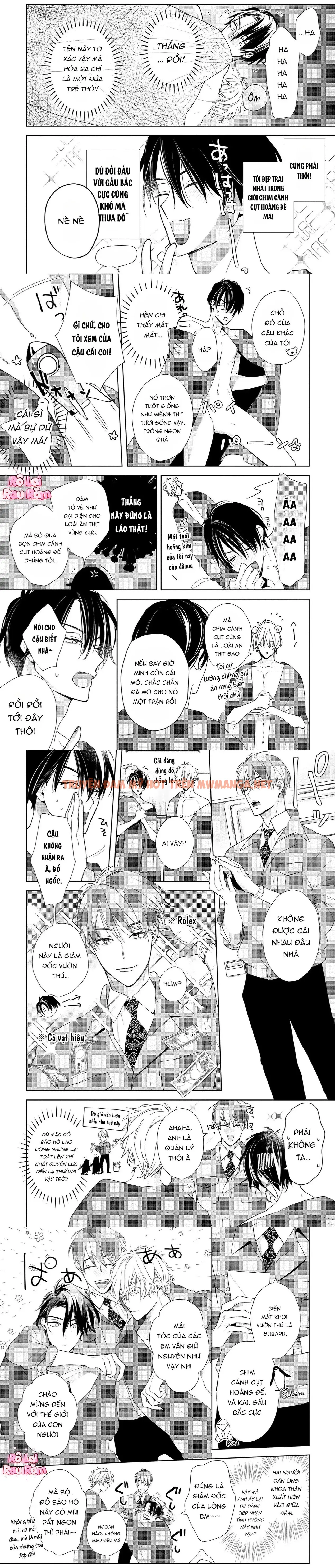 Trang 5