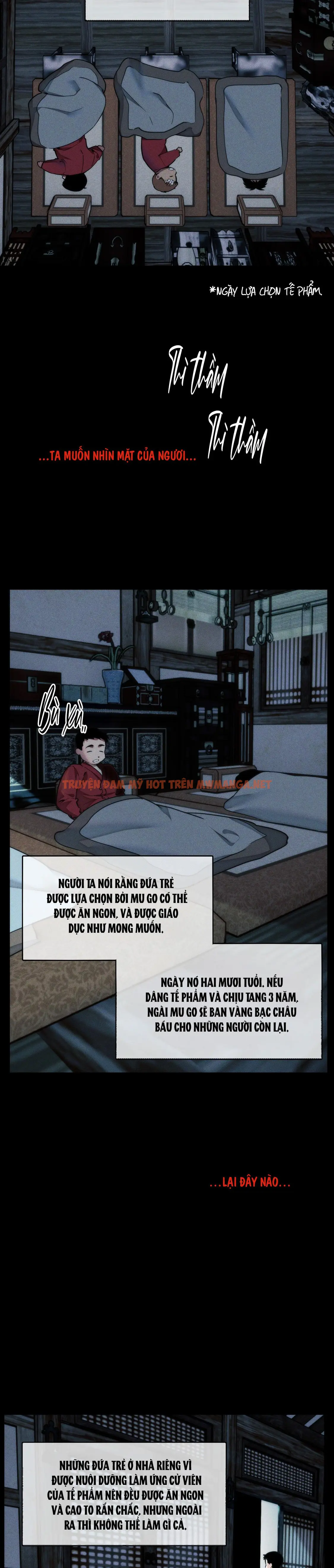 Trang 15