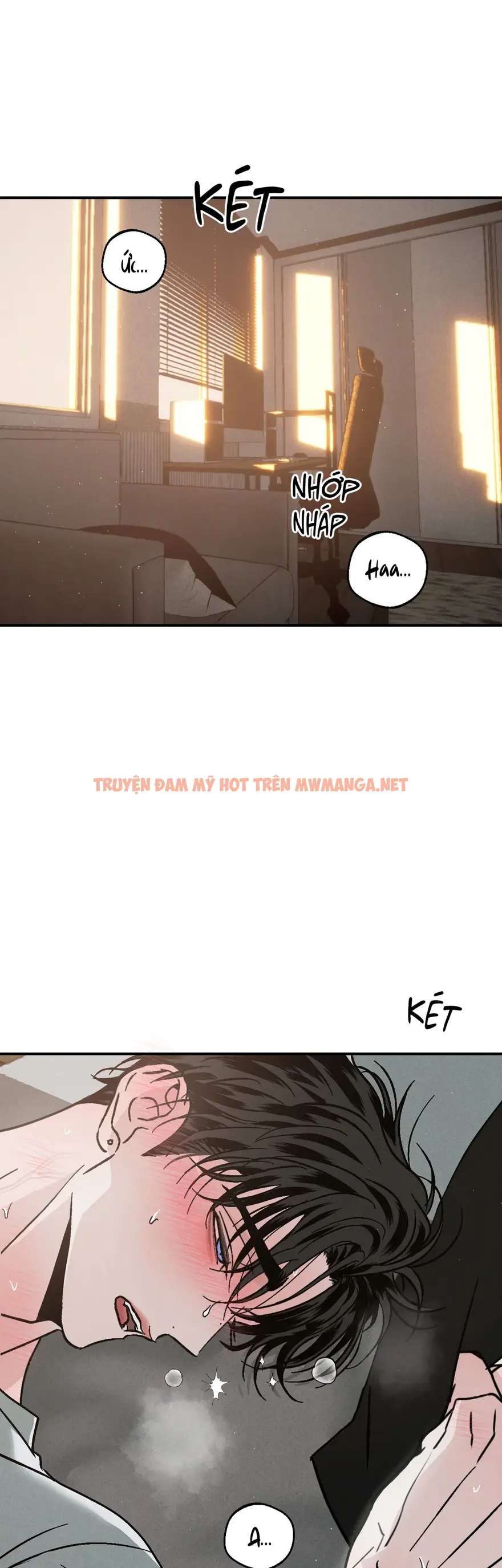 Bí Mật Của Xx - Chapter 12