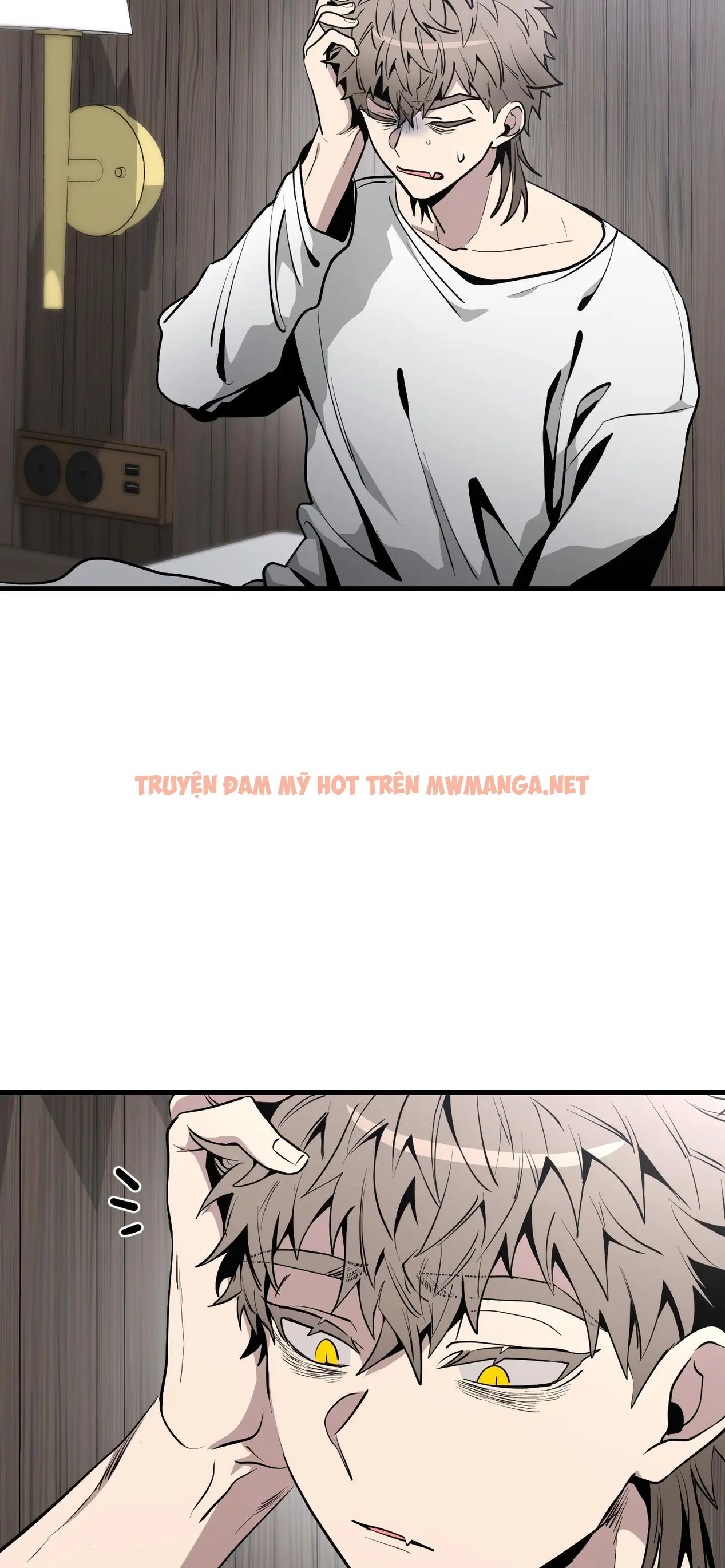 Trang 21
