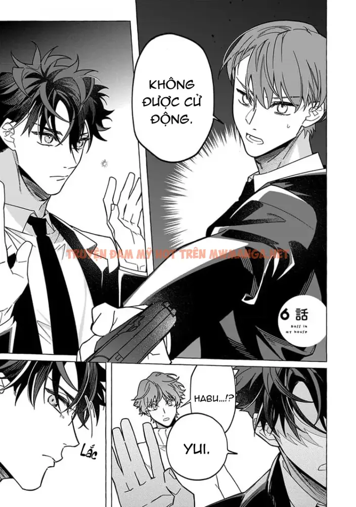 Boss Nhà Tôi - Chapter 6