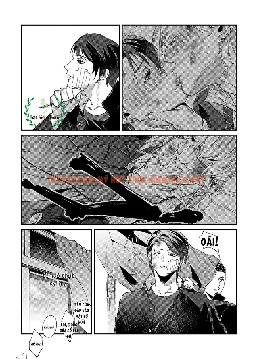 Trang 6