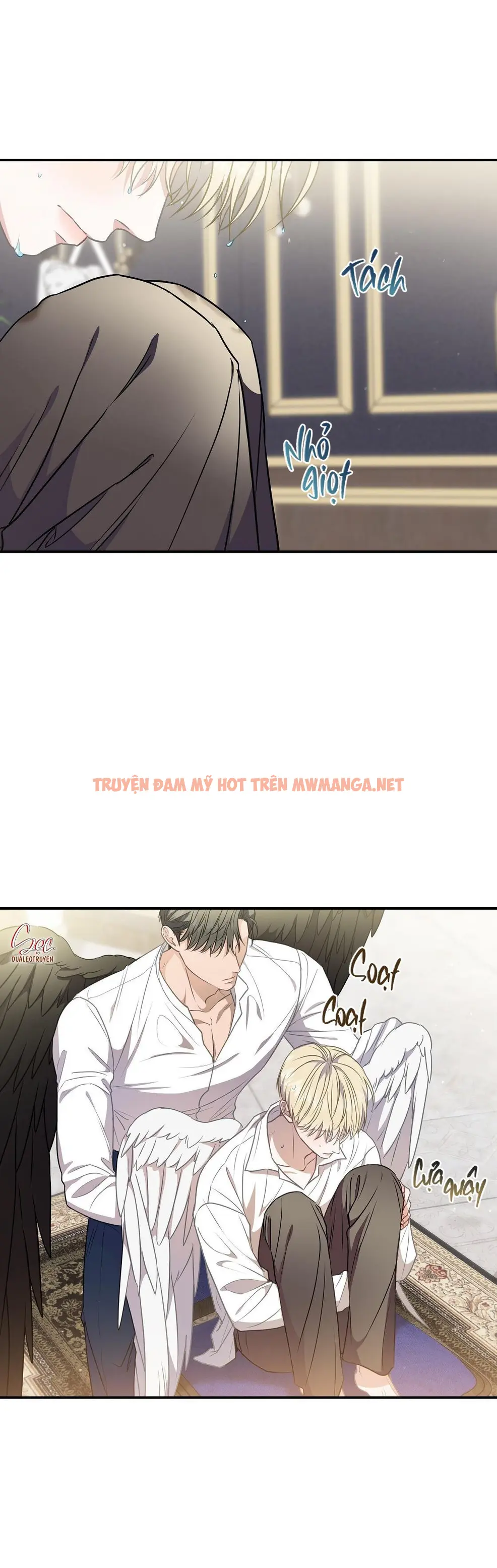 Trang 17