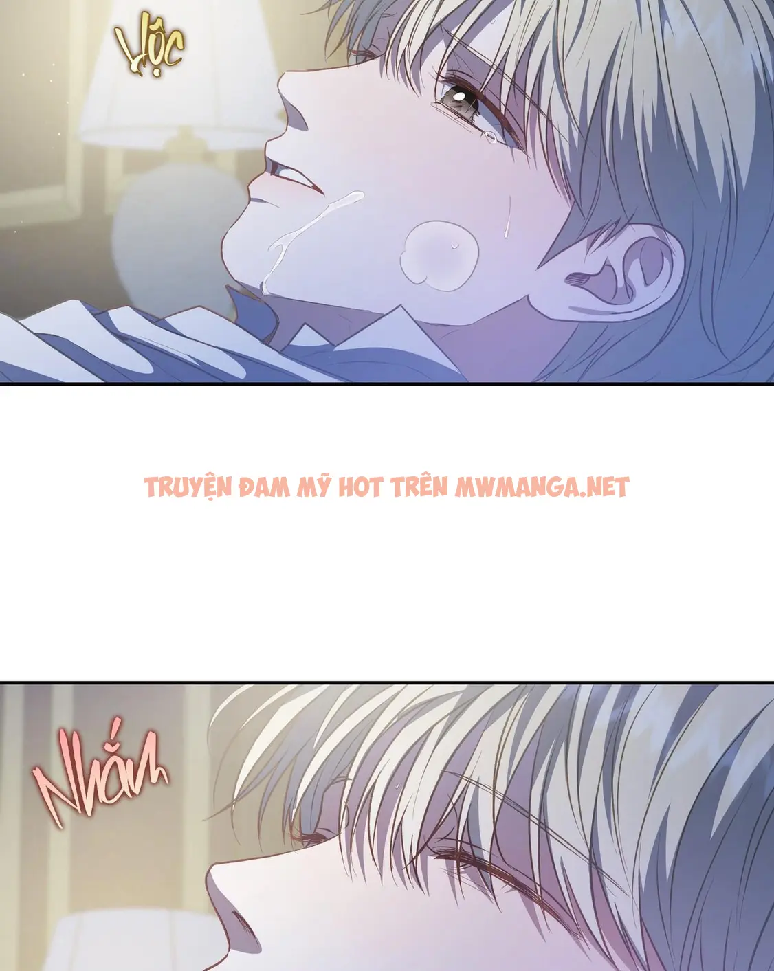 Trang 24