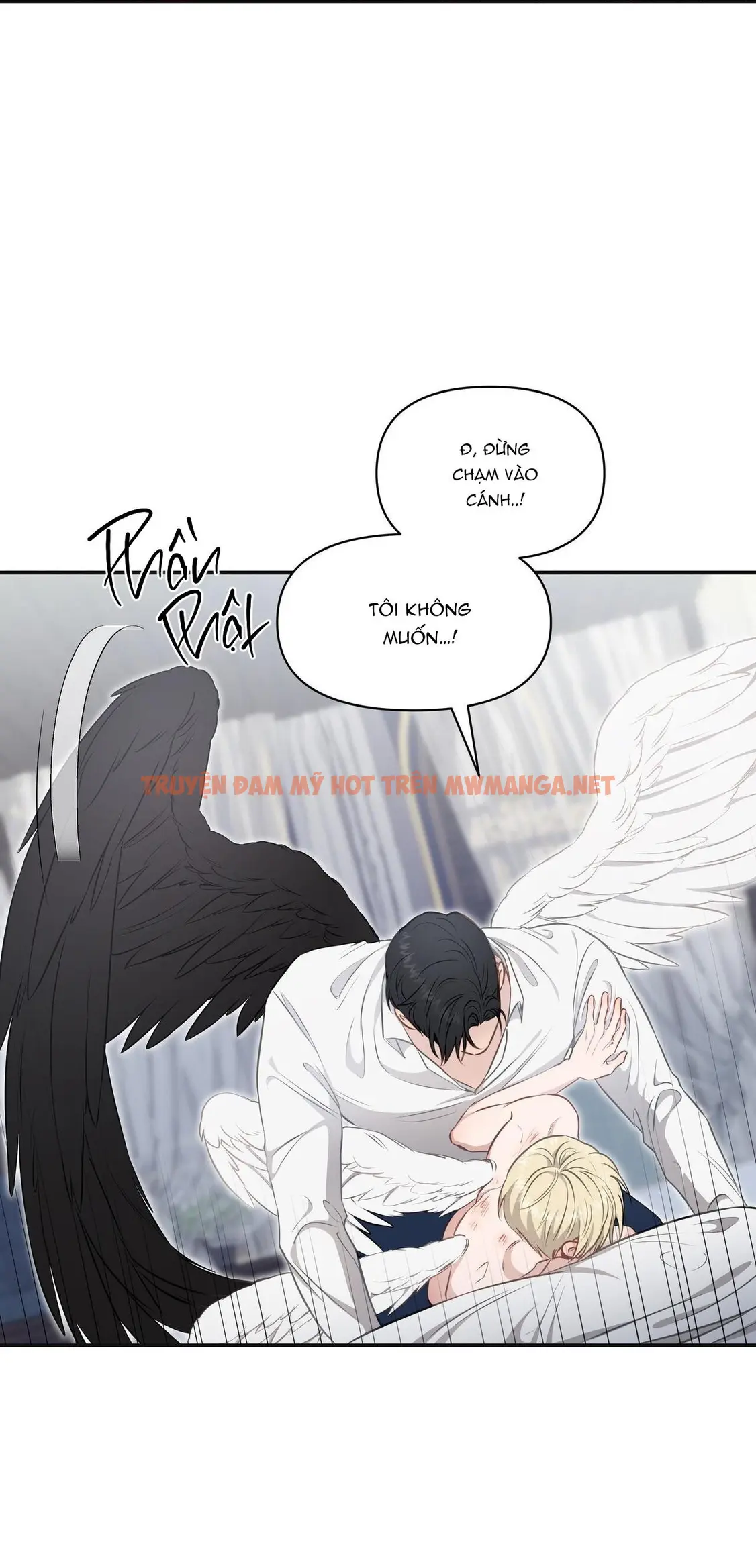 Trang 46