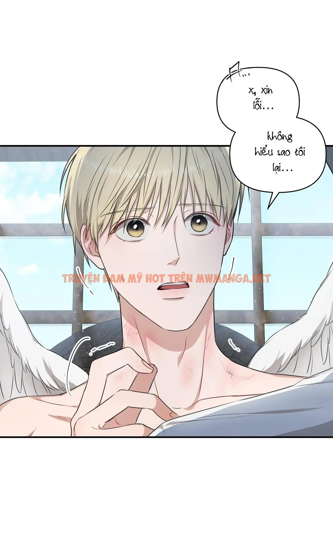 Trang 19