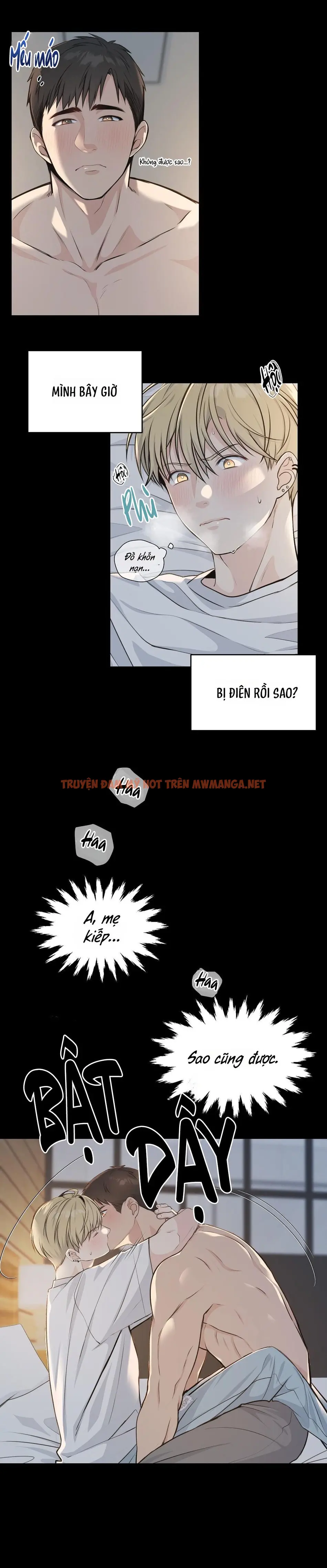 Trang 12