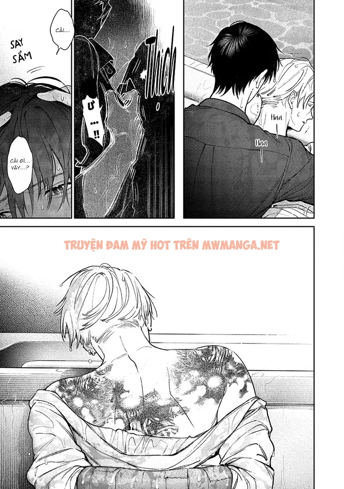 Trang 15