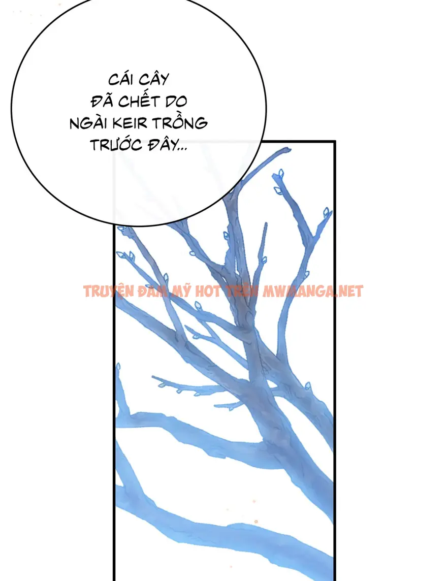 Trang 67
