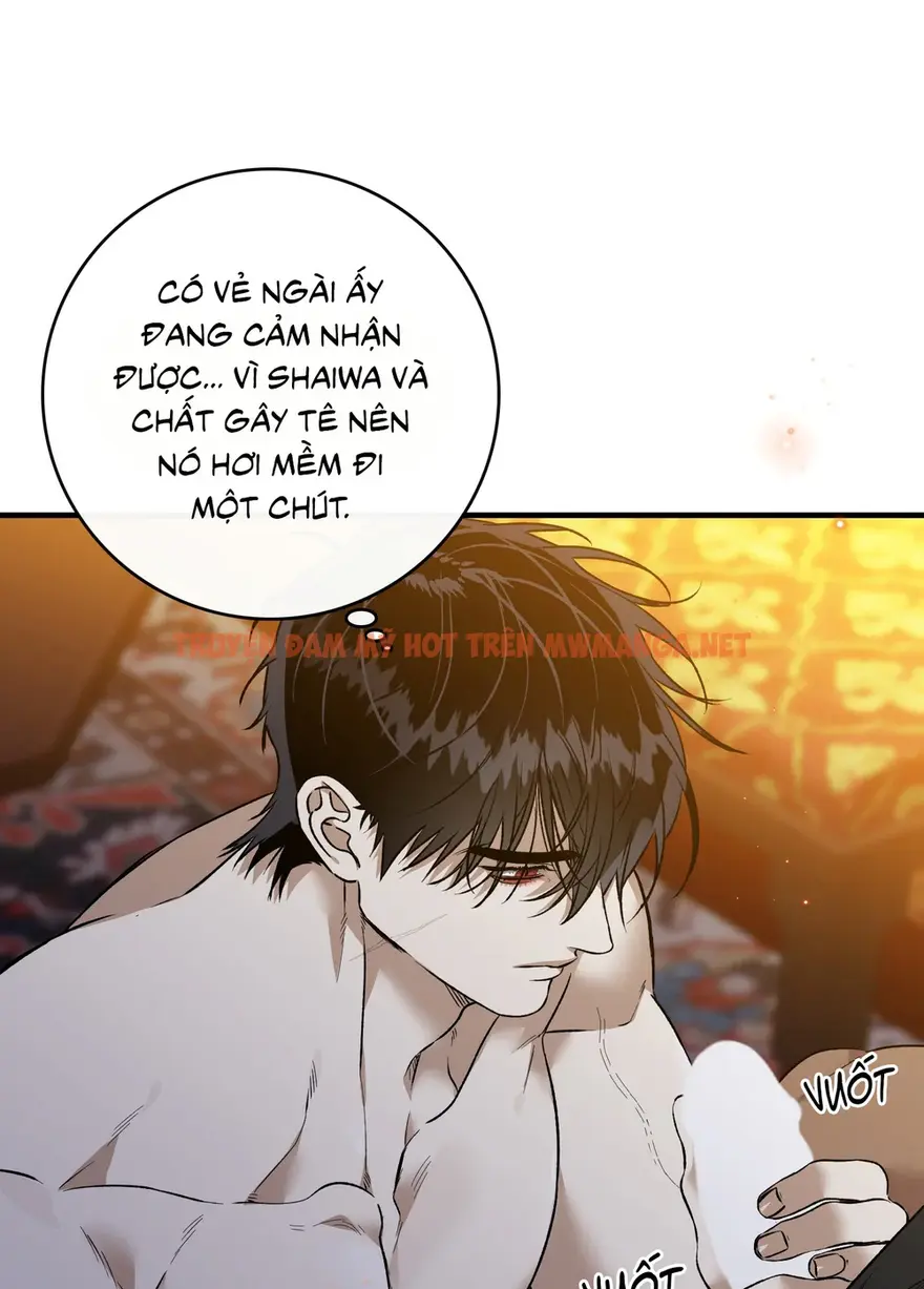 Trang 61