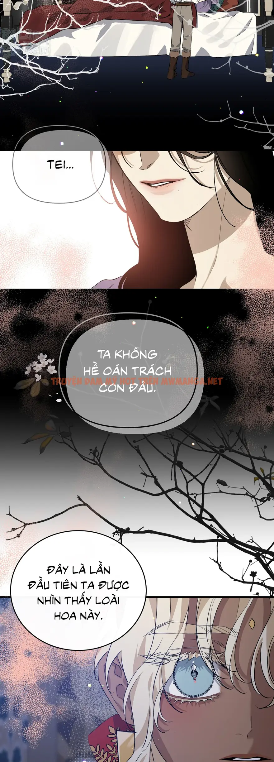 Trang 52