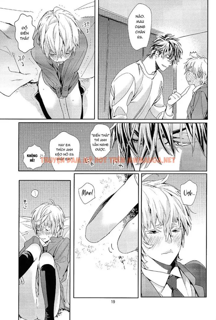 Trang 19