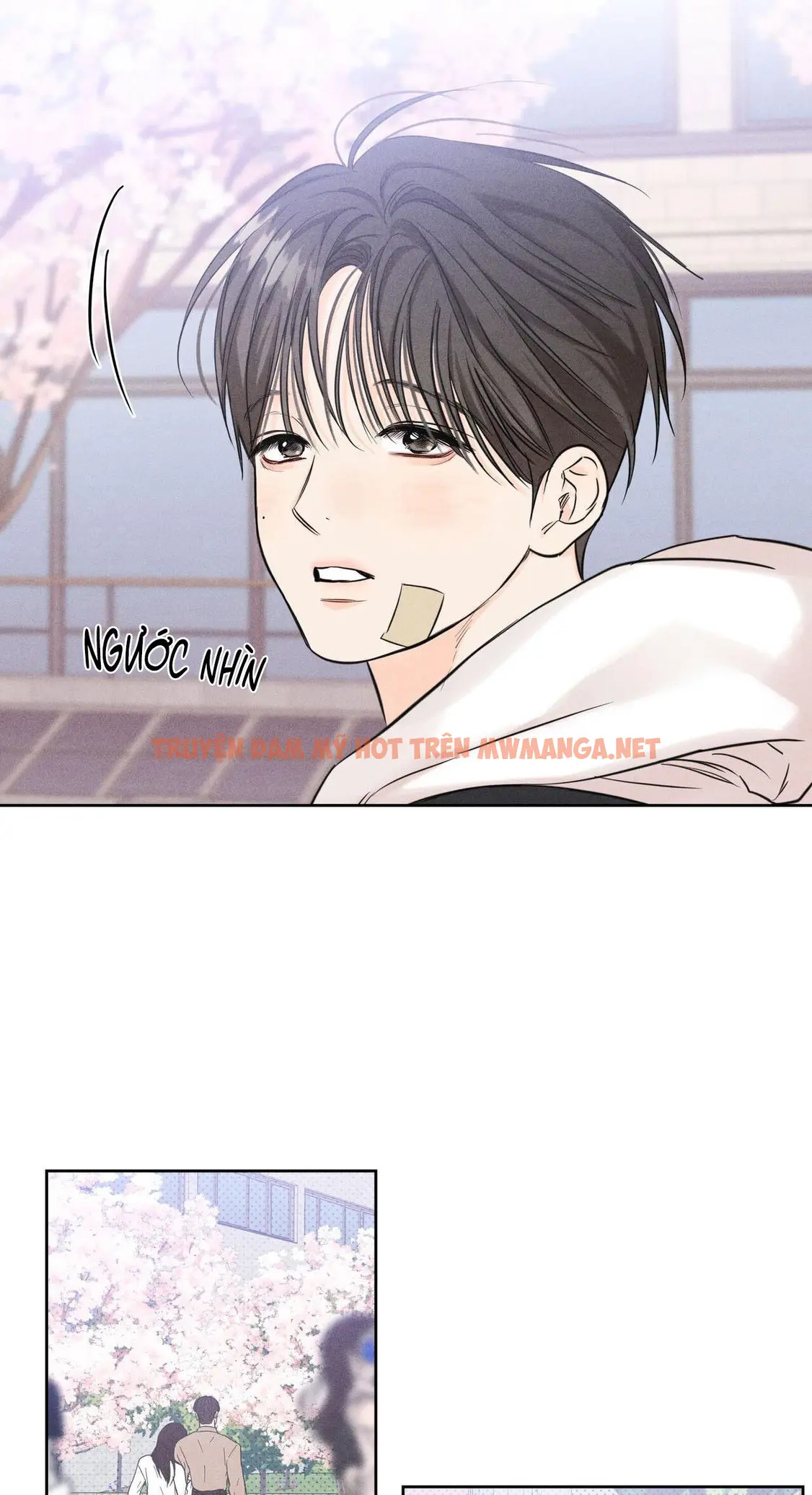 Trang 37