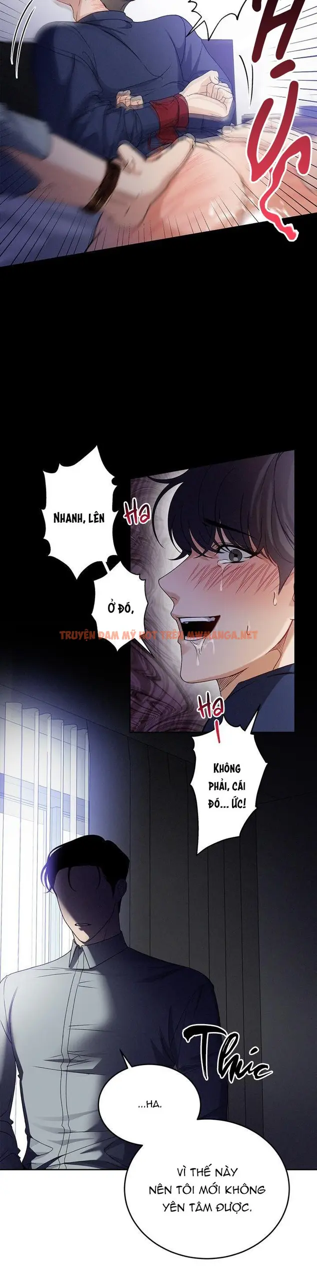 Trang 12