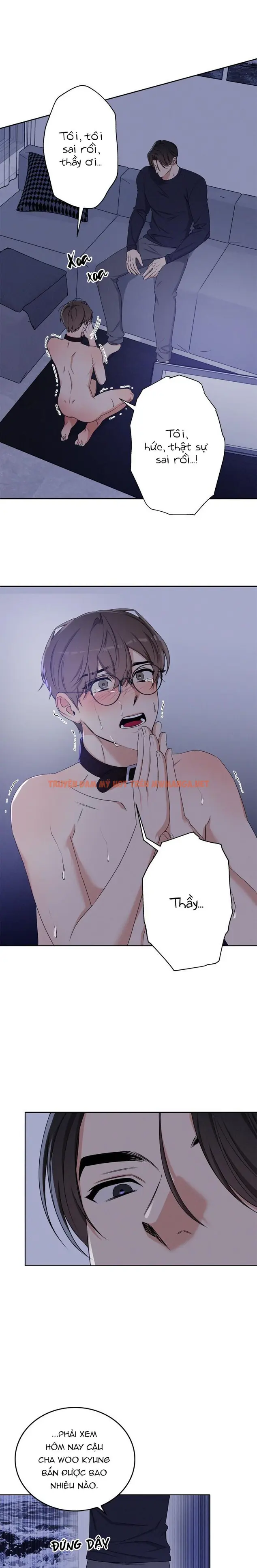 Trang 17