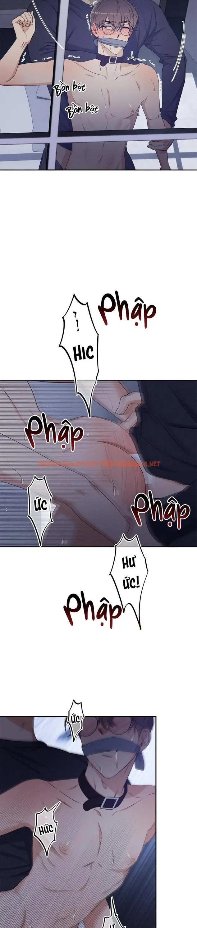 Trang 19