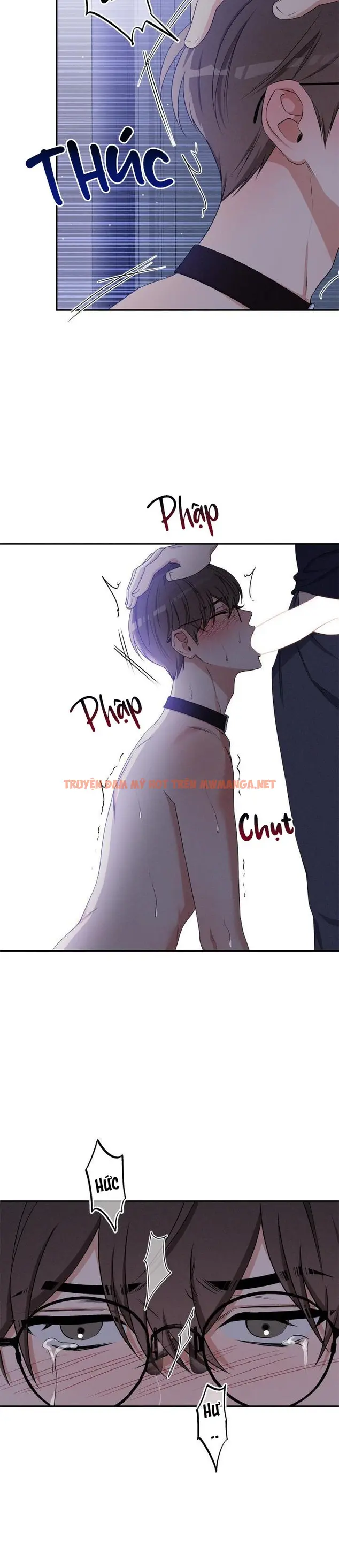 Trang 24