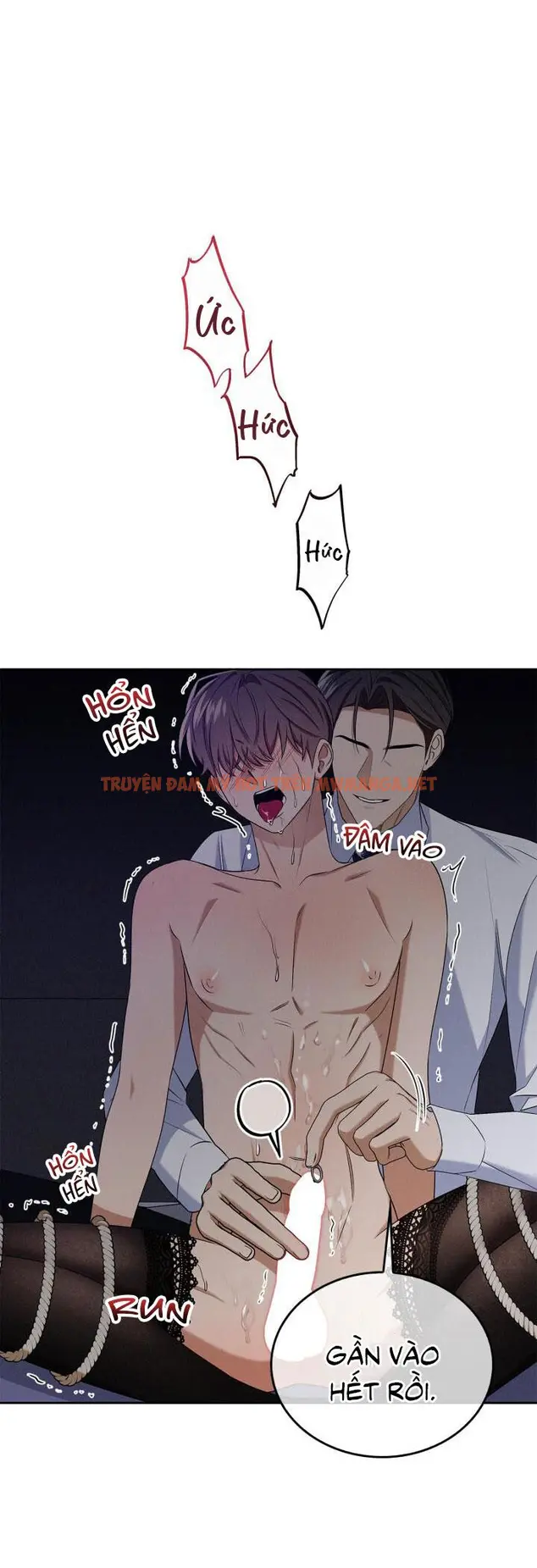 Trang 53