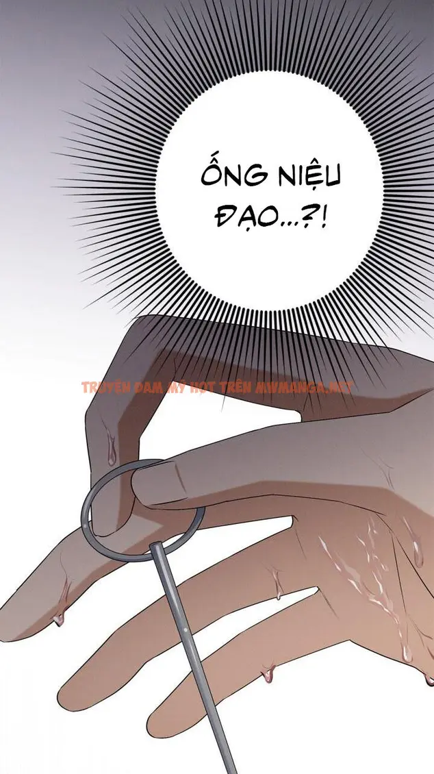 Trang 38