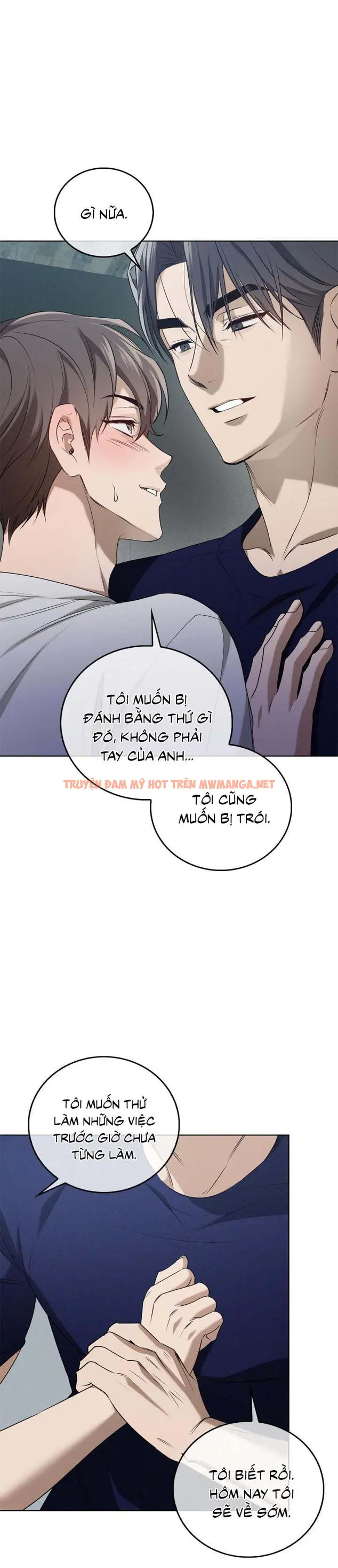 Trang 21