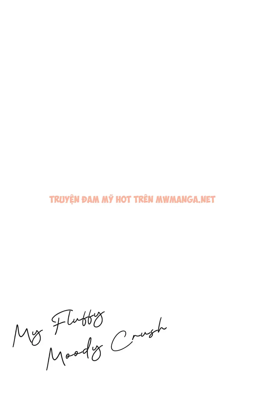 Crush Vừa Yêu Vừa Khó Chiều - Chapter 6.5