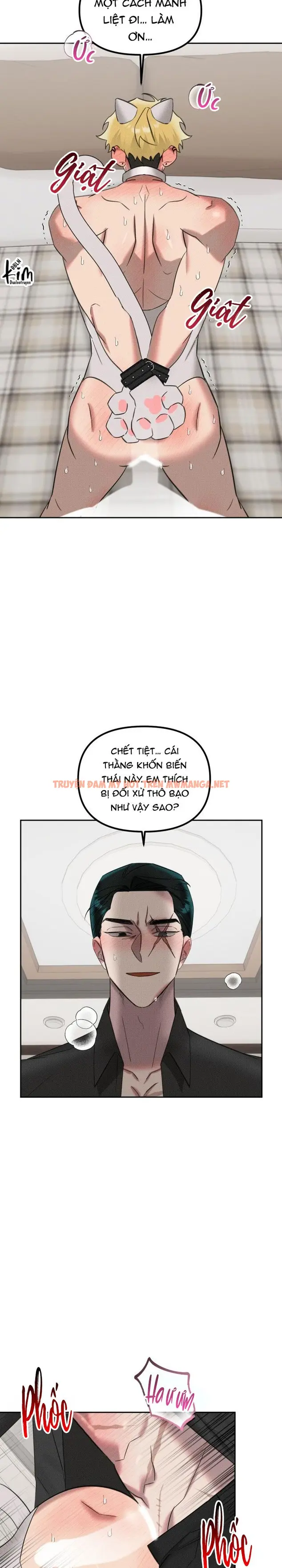 Trang 12