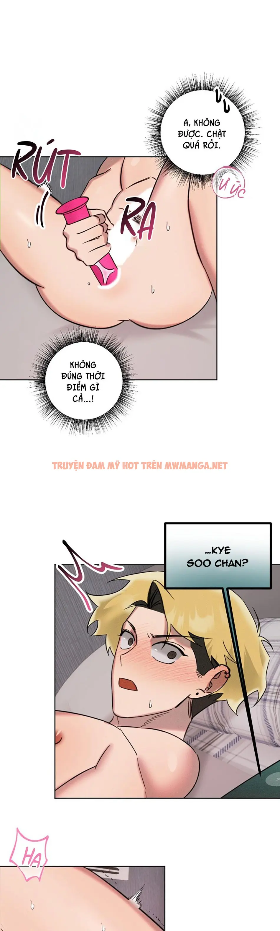 Trang 15