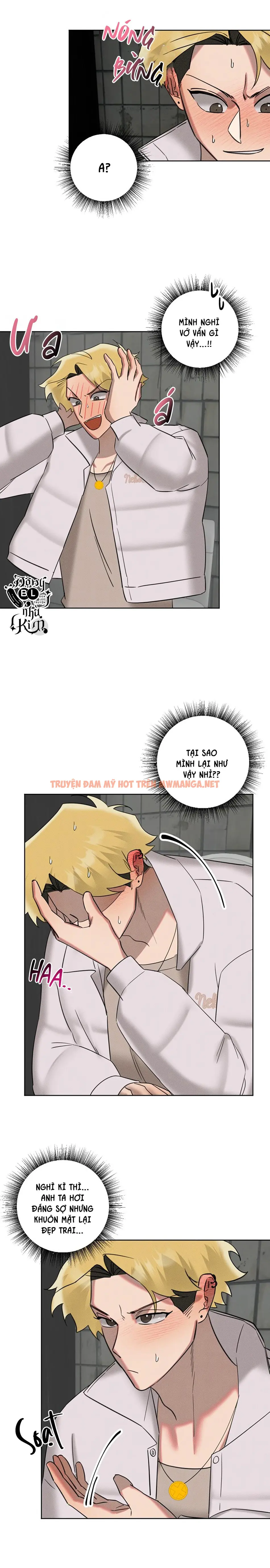 Trang 5