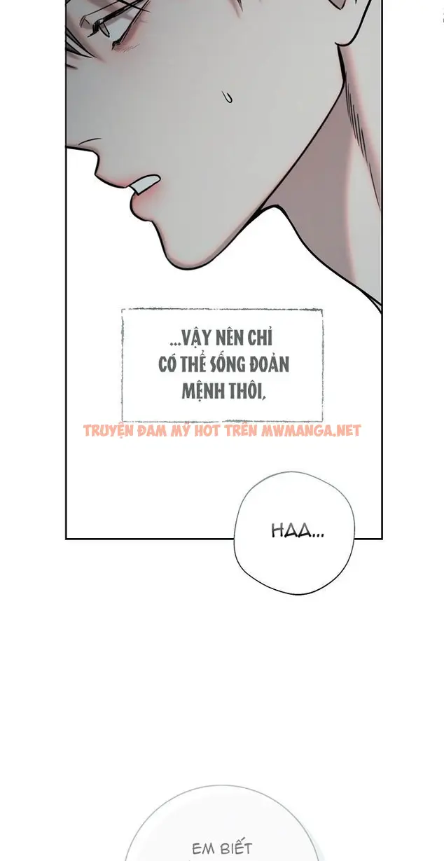 Trang 57
