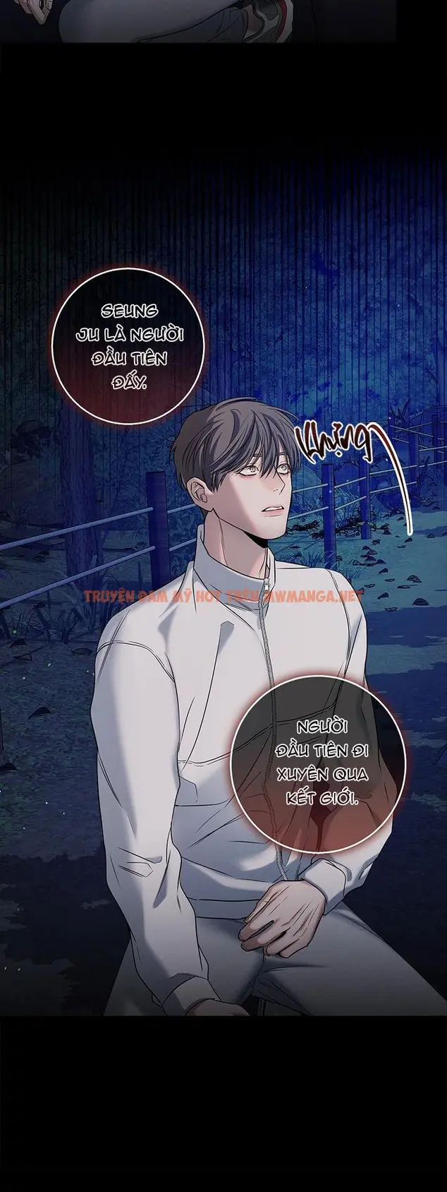 Trang 31