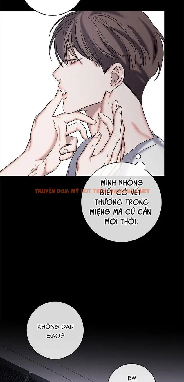 Trang 31