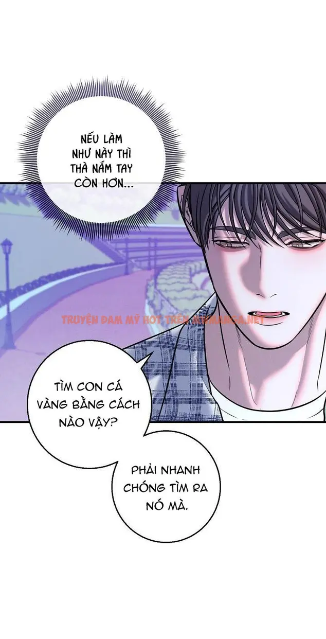 Trang 46