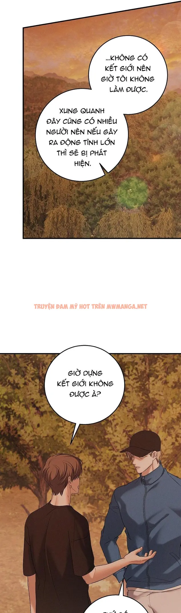 Trang 31
