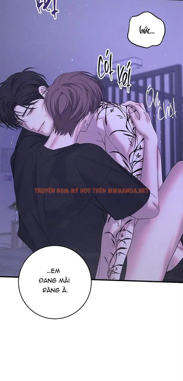Trang 51