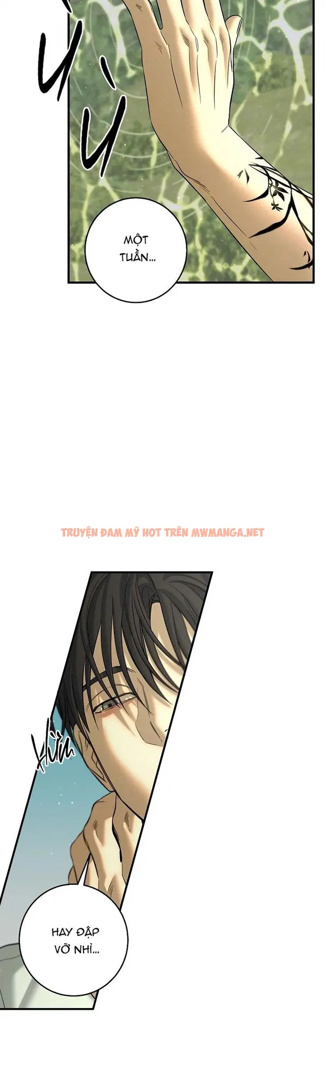Trang 53