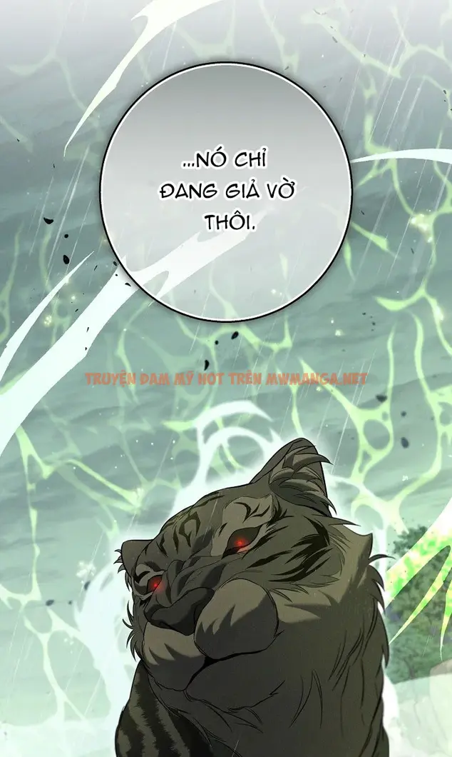 Trang 65