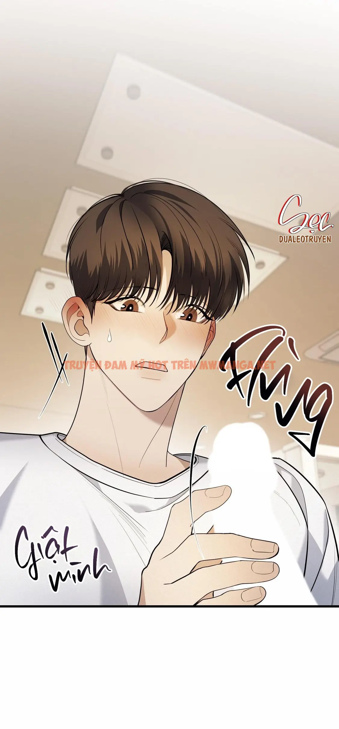 Trang 12