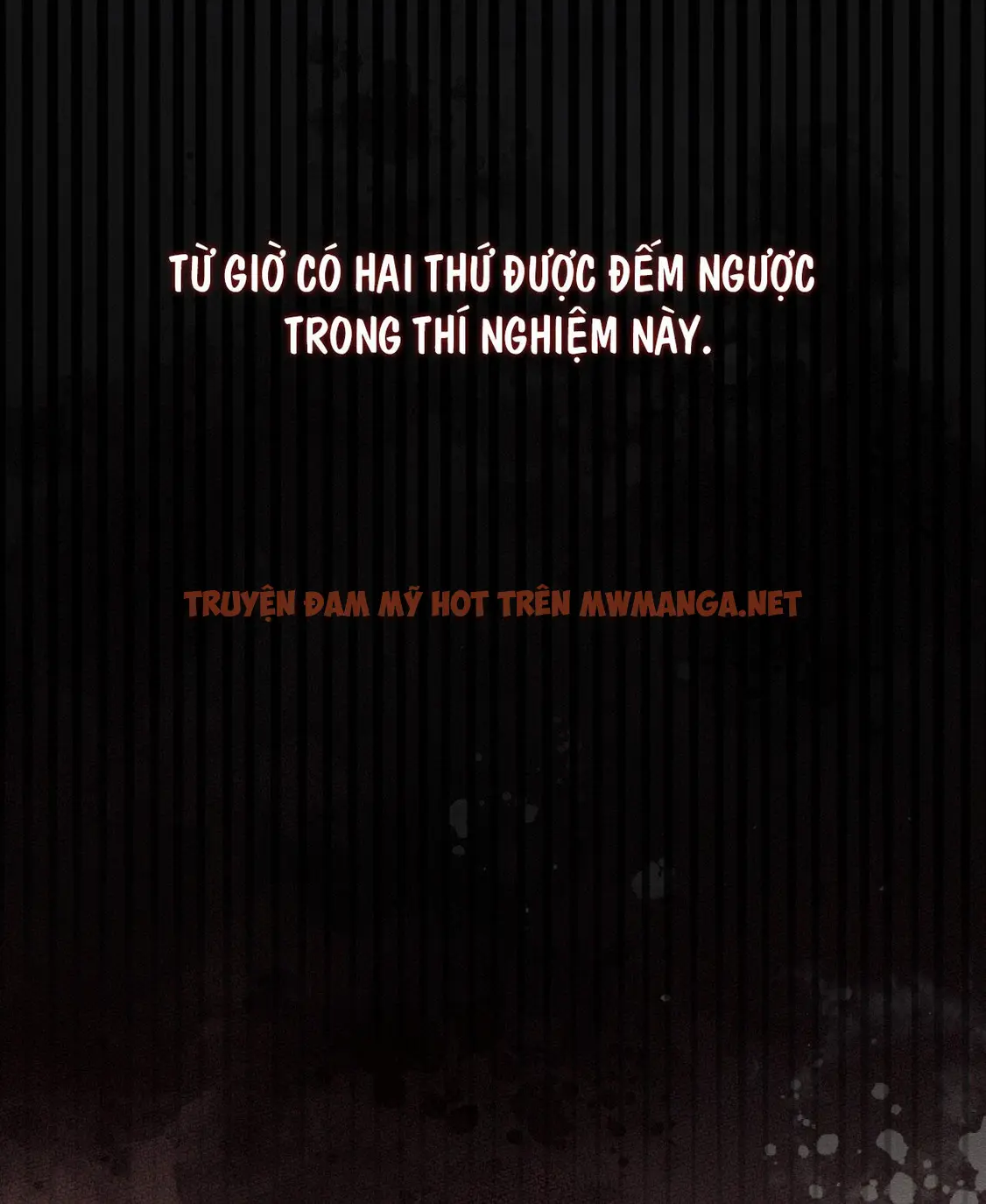 Trang 79