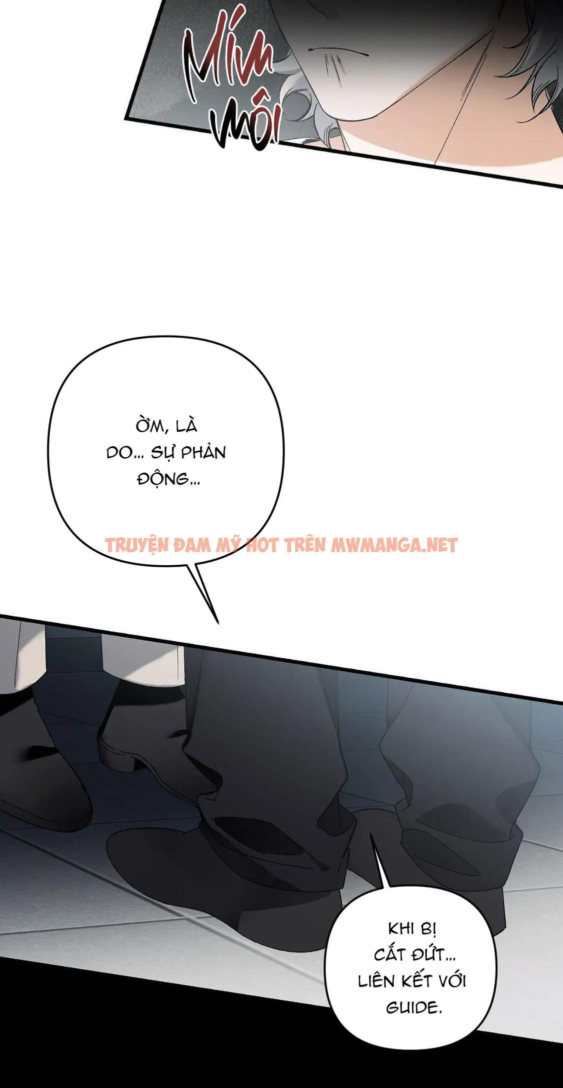 Trang 50