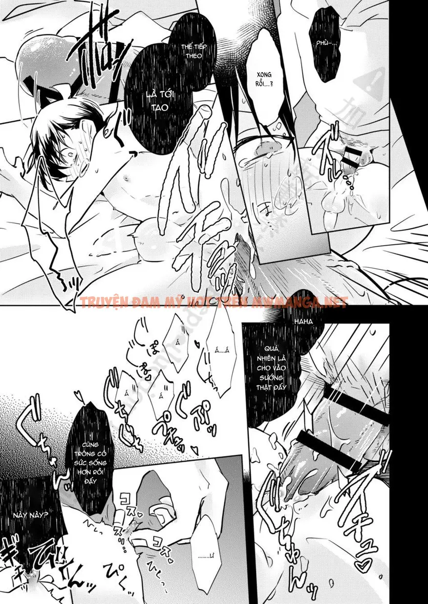 Trang 11