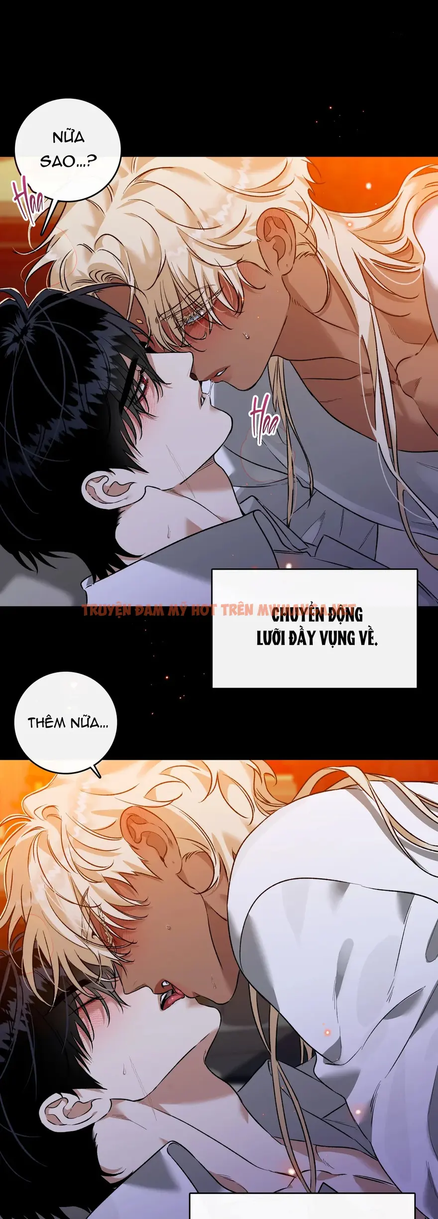 Trang 14
