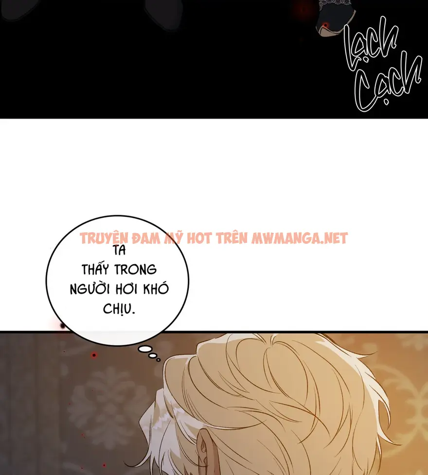Trang 42