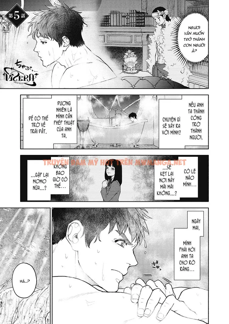 Em Gái Thân Yêu, Anh Đã Trở Thành Trinh Nữ Được Ban Phước Rồi! - Chapter 5