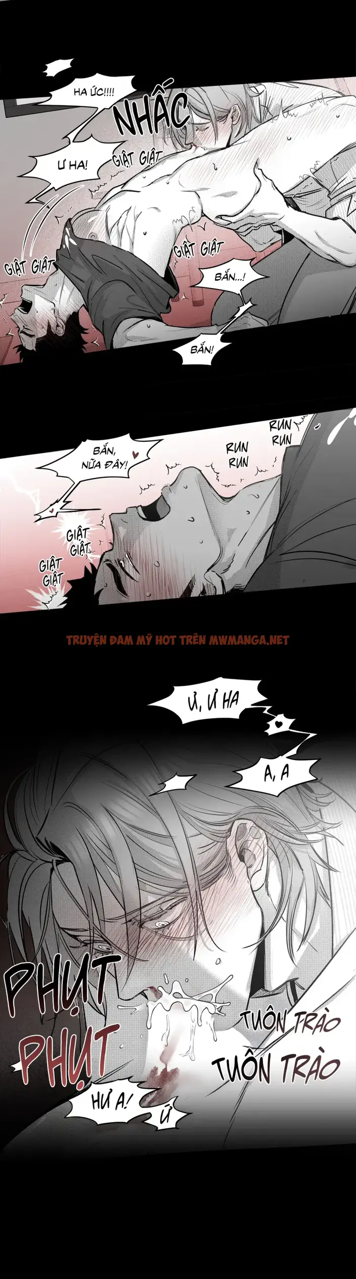 Trang 15