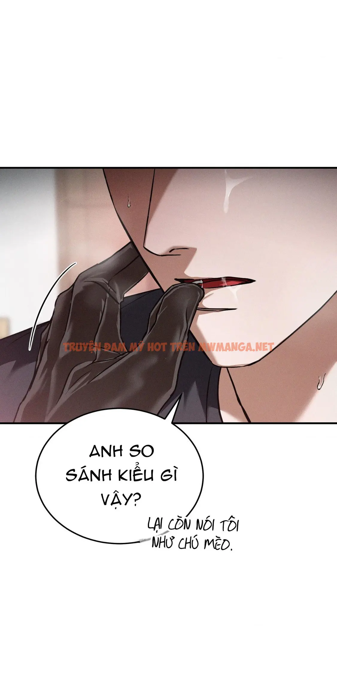 Trang 51