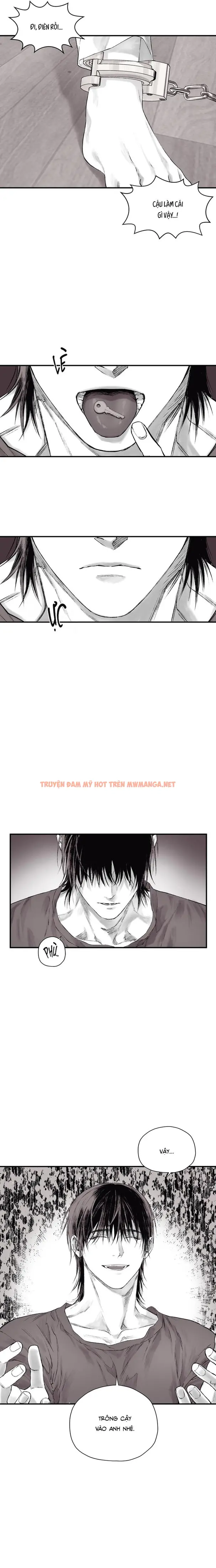 Trang 24