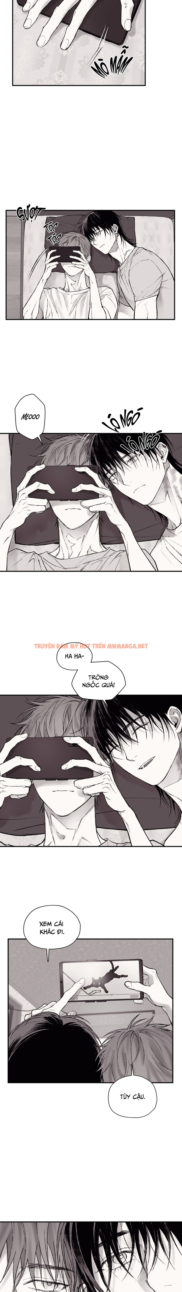 Trang 5